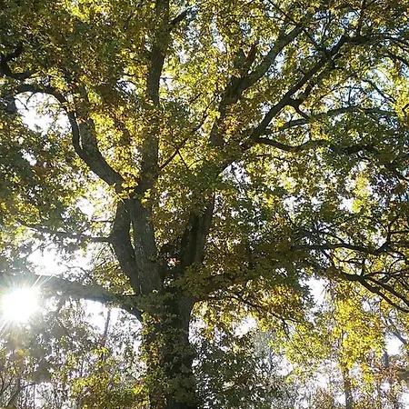 Panzió D'hotes Bien Etre 47