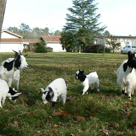 D'hotes Bien Etre 47 Panzió 3*