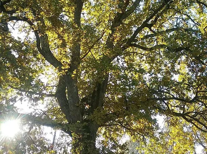 住宿加早餐酒店 D'hotes Bien Etre 47