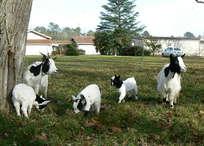 D'hotes Bien Etre 47 住宿加早餐酒店 3*